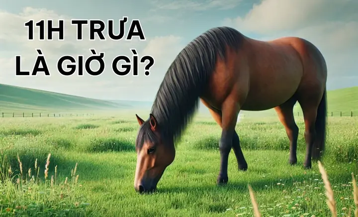 11h Trưa Là Giờ Gì? Giải Nghĩa Từ A Đến Z