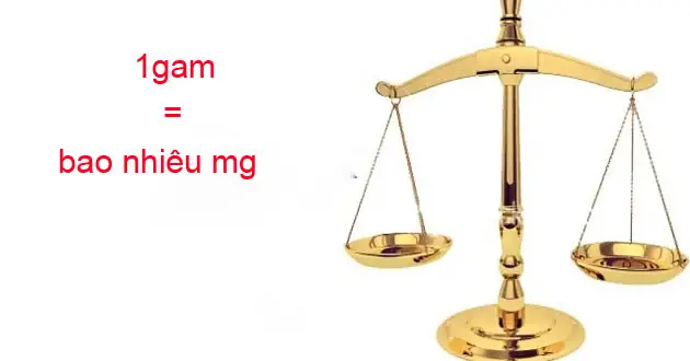 1g Bằng Bao Nhiêu Mg? Cách Quy Đổi Đơn Vị Khối Lượng Từ A Đến Z