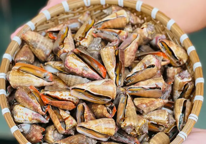 Ăn Ốc Nhảy Có Tốt Không? Lợi Ích Và Rủi Ro Cần Biết