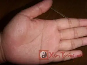 Bàn Tay Chữ Nhất Ở Nữ Giới: Ý Nghĩa Và Điều Cần Biết