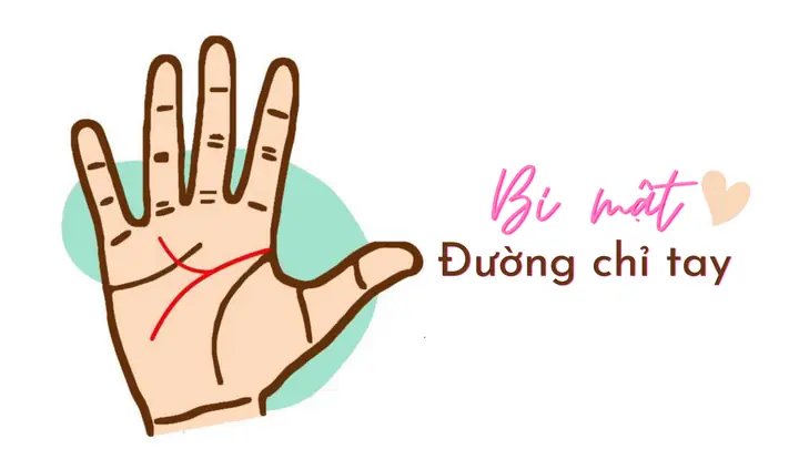 Đường Chỉ Tay Con Cái: Hướng Dẫn Xem Bói Chi Tiết