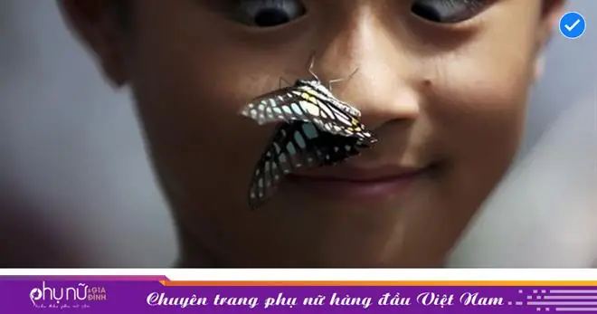 Bướm Đen Bay Quanh Người: Từ Niềm Tin Cổ Đến Sự Thật Khoa Học