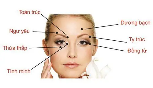 Các Huyệt Chữa Bệnh Về Mắt: Vị Trí, Tác Dụng Và Cách Bấm