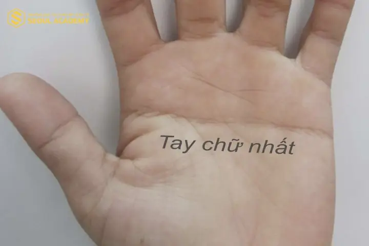 Chỉ Tay Chữ Nhất Ở Nữ: Phân Tích Ý Nghĩa Chi Tiết