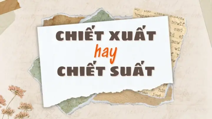 Chiết Xuất Hay Chiết Suất: Phân Biệt Rõ Ràng Và Ứng Dụng Thực Tế