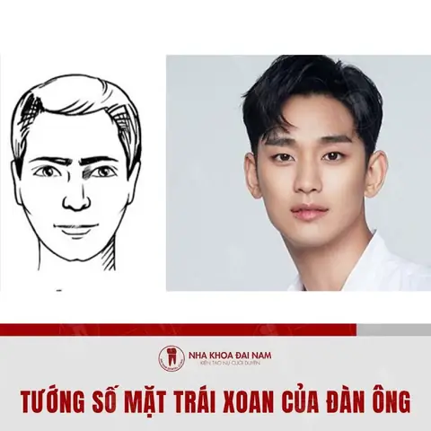 Mặt Trái Xoan Ở Con Trai: Ý Nghĩa Phong Thủy & Tướng Mặt
