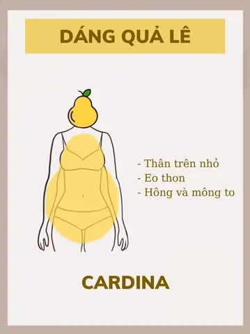 Dáng Quả Lê Đẹp Hay Xấu: Tiêu Chí Đánh Giá Chi Tiết Từ A Đến Z