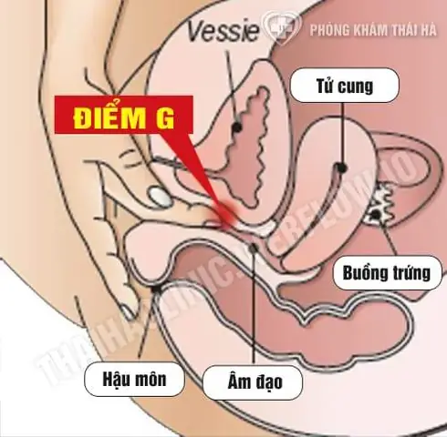Điểm Nhạy Cảm Phụ Nữ: Tổng Hợp Kiến Thức Khoa Học Và Thực Tiễn