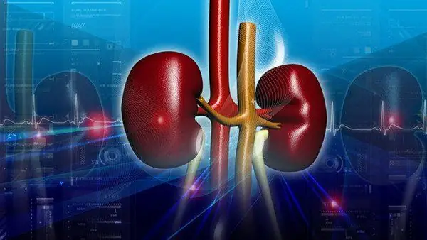 Giãn Đài Bể Thận: Đánh Giá Chi Tiết Mức Độ Nguy Hiểm Và Cách Xử Lý