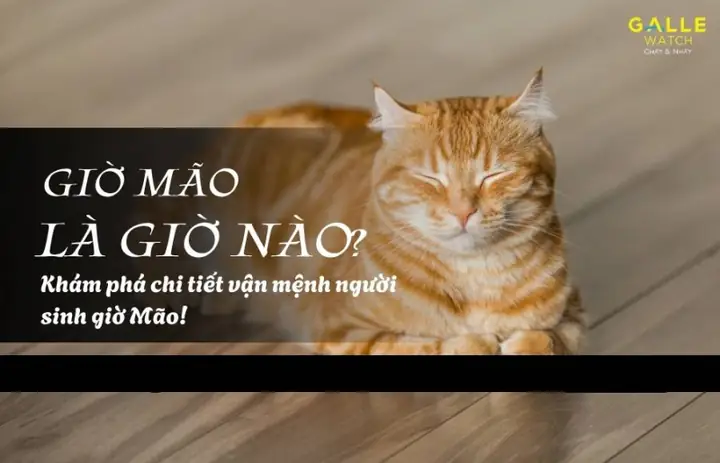 Giờ Mão Là Giờ Nào? Tổng Tập Ý Nghĩa Phong Thủy Và Vận Mệnh