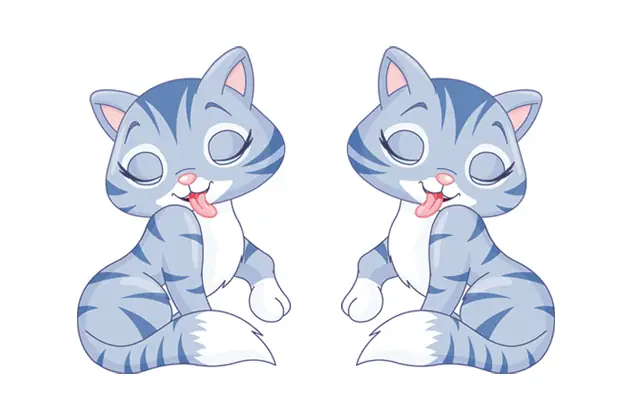 Giờ Mão Là Gì? Từ Mấy Giờ Đến Mấy Giờ Và Ý Nghĩa Phong Thủy?