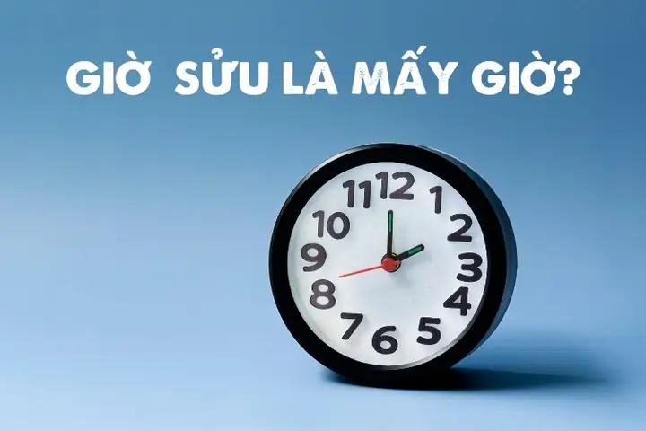 Giờ Sửu Là Mấy Giờ? Tổng Hợp Ý Nghĩa Về Tính Cách Và Vận Mệnh