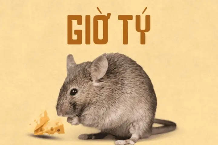 Giờ Tý Là Mấy Giờ? Tổng Quan Ý Nghĩa Tử Vi Và Vận Mệnh Chi Tiết