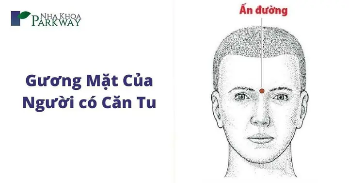 Căn Tu Là Gì? 7 Dấu Hiệu Nhận Biết Người Có Căn Từ Tiền Kiếp
