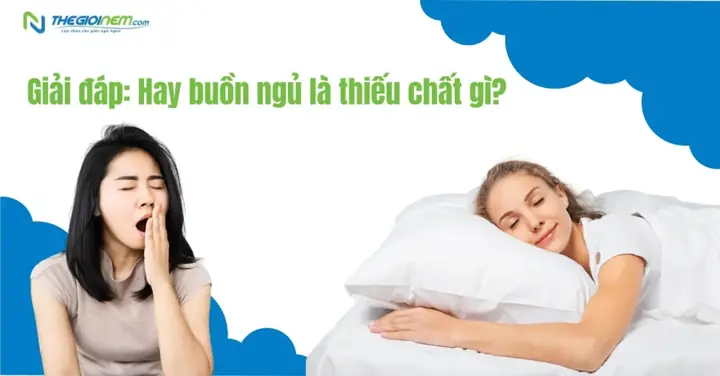 Hay Buồn Ngủ Là Thiếu Chất Gì? Nguyên Nhân & Cách Khắc Phục Từ Gốc