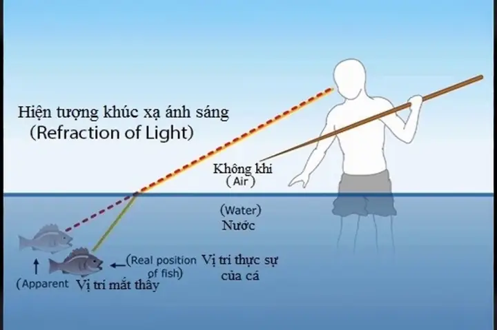 Hiện Tượng Khúc Xạ Ánh Sáng Là Gì? Nguyên Lý Và Ứng Dụng