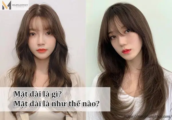 Mặt Dài Là Gì? Đặc Điểm, Tướng Số Và Bí Quyết Làm Đẹp Toàn Diện