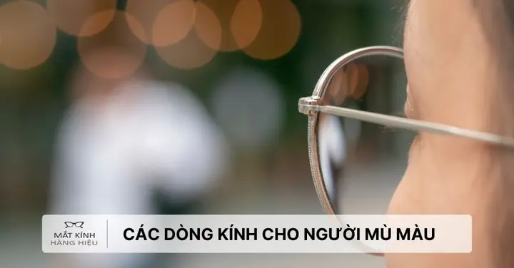 Đánh Giá Chi Tiết Kính Cho Người Mù Màu Enchroma: Giải Pháp Thực Sự Hay Chỉ Là Chiêu Trò?