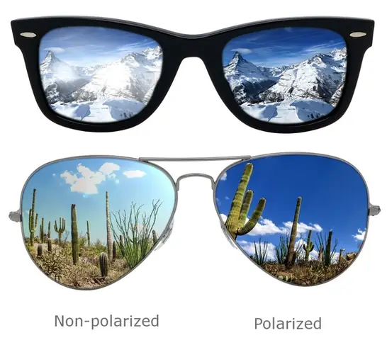 Kính Rayban Polarized Là Gì? Tổng Tất Tần Tật Ưu Nhược Điểm