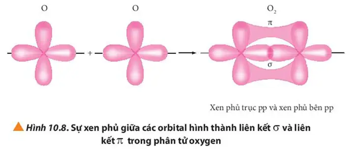 Liên Kết Xích Ma Là Gì? So Sánh Với Liên Kết Pi Trong Hóa Học