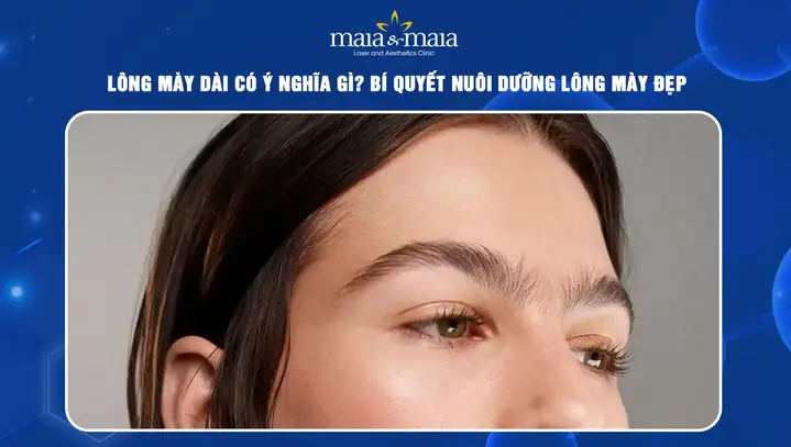 Lông Mày Dài: Ý Nghĩa Phong Thủy, Thẩm Mỹ Và Bí Quyết Chăm Sóc Tự Nhiên