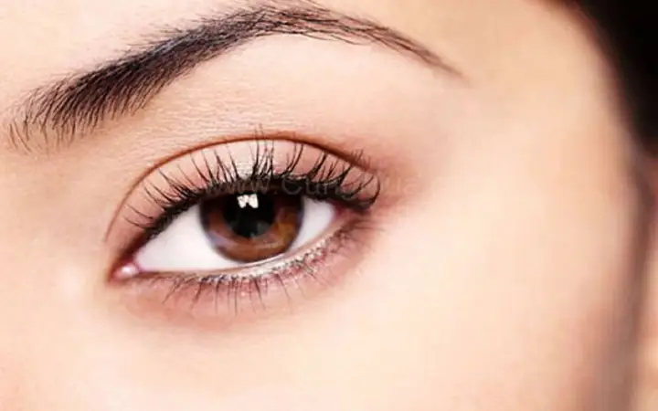 Lông Mi Cong Nói Lên Điều Gì Về Tính Cách? Giải Mã 6 Kiểu Dáng