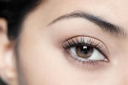 Mắt 2 Mí: Từ Giải Phẫu Đến Ý Nghĩa Văn Hóa Và Cách Tạo Đường Nếp