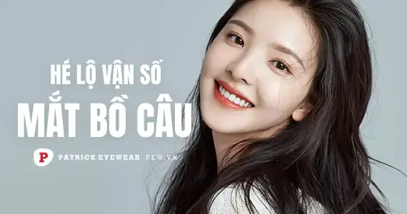 Mắt Bồ Câu Là Gì? Đặc Điểm, Ý Nghĩa Và Cách Tôn Vinh Vẻ Đẹp