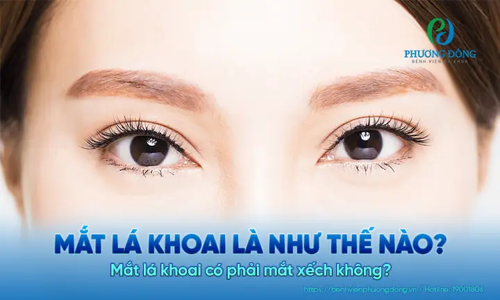 Mắt Lá Khoai Là Gì? Đặc Điểm Nhận Biết Và Ý Nghĩa Của Kiểu Mắt Này