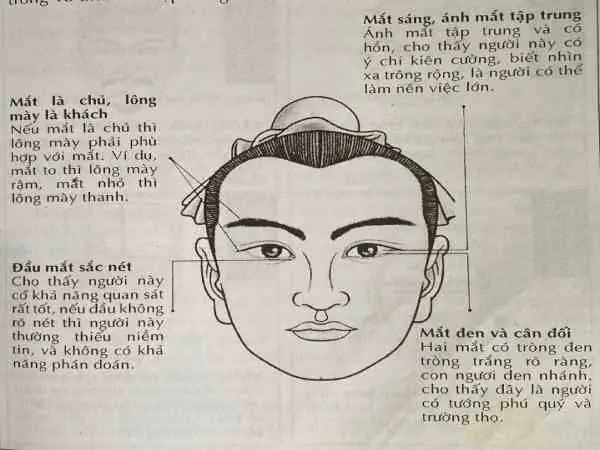 Mắt Lộ Thần Là Gì? Giải Đáp Chi Tiết Từ Y Học Đến Phong Thủy