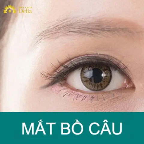 Mắt To Tròn Có Ý Nghĩa Gì? Giải Mã Ý Nghĩa Biểu Tượng Và Khoa Học