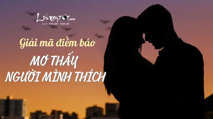 Mơ Thấy Người Mình Thích Là Điềm Gì? Giải Mã Ý Nghĩa Từ Trong Thơ Đến Hành Động
