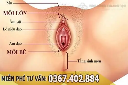 Môi Bé Bị Sưng Một Bên: Nguyên Nhân, Cách Xử Lý Và Khi Nào Cần Đi Khám?