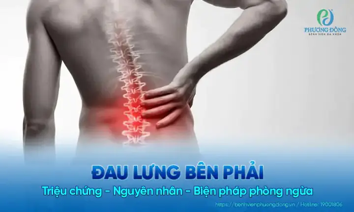 Mỏi Lưng Dưới Bên Phải: Nguyên Nhân, Cách Khắc Phục Và Khi Nào Cần Đi Khám