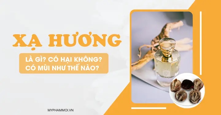 Xạ Hương Là Gì? Khám Phá Bí Mật Của Nốt Hương Quý Hiếm Nhất Trong Nước Hoa