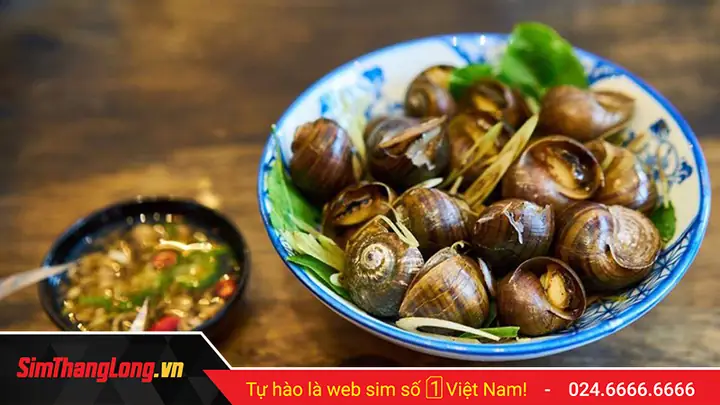 Mùng 1 Có Nên Ăn Ốc Không? Phân Tích Toàn Diện Từ Dân Gian Đến Khoa Học
