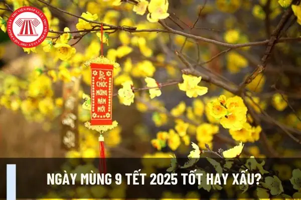 Ngày Mùng 9 Tết 2026 Tốt Hay Xấu? Phân Tích Toàn Diện Từ Phong Thủy Đến Kinh Doanh