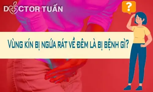 Ngứa Vùng Kín Về Đêm: Nguyên Nhân & Cách Xử Lý Hiệu Quả