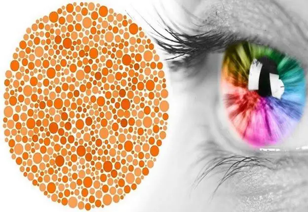 Người Mù Màu Nhìn Thấy Gì: Khám Phá Thế Giới Qua Lăng Kính Đặc Biệt