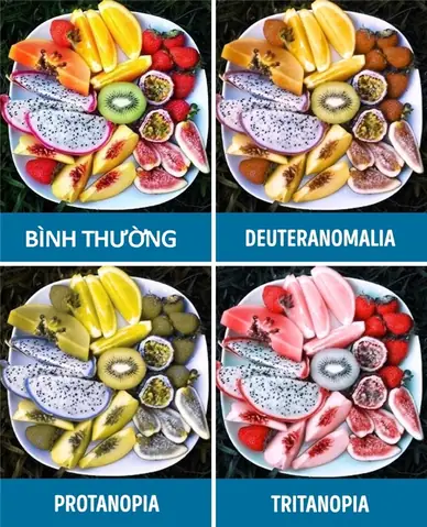 Người Mù Màu Nhìn Thế Giới Như Thế Nào