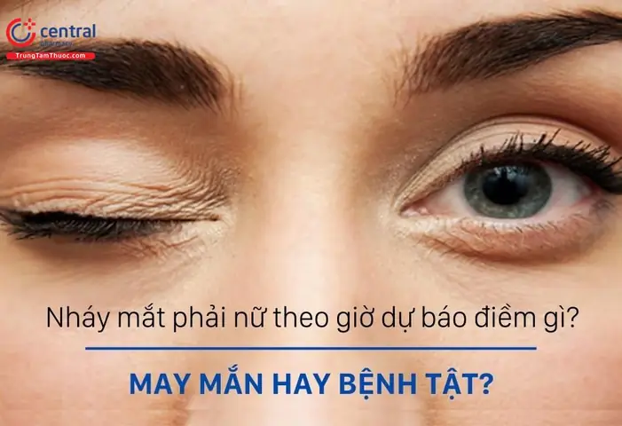 Nháy Mắt Phải Lúc 12h Trưa Có Ý Nghĩa Gì? Phân Tích Từ Góc Độ Khoa Học & Văn Hóa