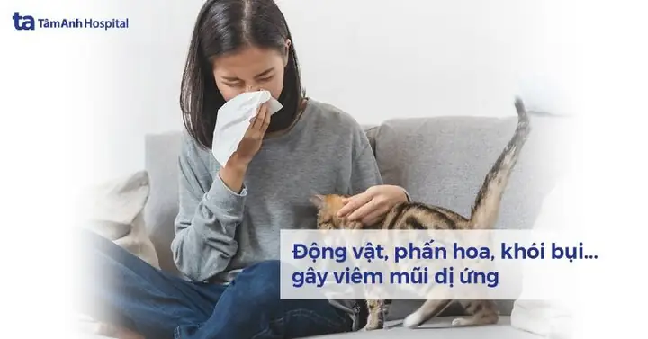 Nhảy Mũi Theo Từng Khung Giờ: Nguyên Nhân Và Cách Khắc Phục Hiệu Quả
