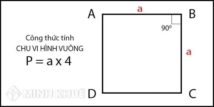 Nửa Chu Vi Hình Vuông Và Hình Tròn Là Gì? Cách Tính Chi Tiết Cho Học Sinh