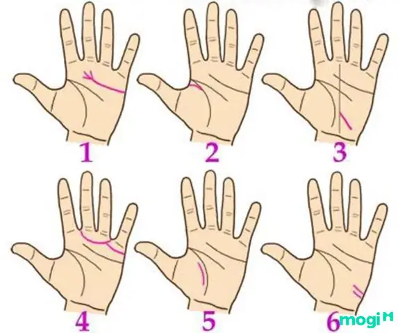 Quý Nhân Phù Trợ Nghĩa Là Gì? Tìm Hiểu Chi Tiết