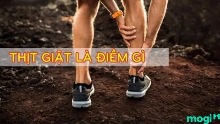 Thịt Giật Đánh Con Gì? 10 Cách Ăn Ngon Bạn Cần Thử