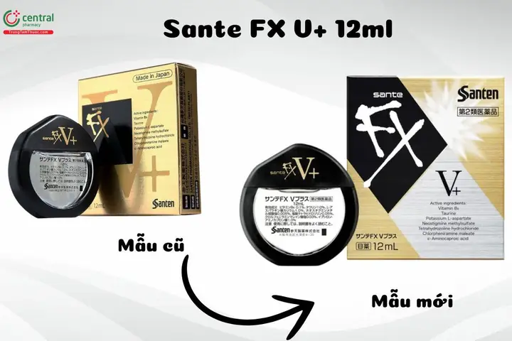 Thuốc Nhỏ Mắt Santen V+: Công Dụng, Hướng Dẫn Sử Dụng Chi Tiết