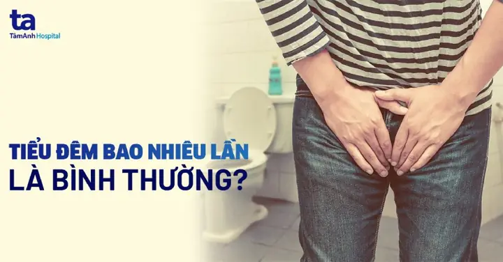 Tiểu Đêm Mấy Lần Là Bình Thường? Điều Cần Biết Về Tần Suất Tiểu Ban Đêm