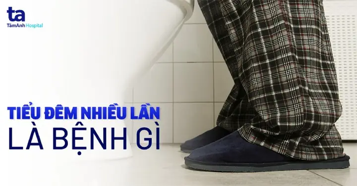 Tiểu Đêm Là Gì? Nguyên Nhân Và Cách Khắc Phục Hiệu Quả