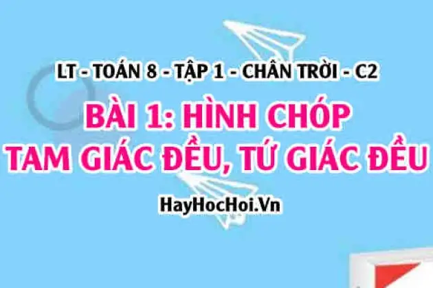 Hình Chóp Tam Giác Đều Và Hình Chóp Tứ Giác Đều: Tổng Hợp Đầy Đủ Tính Chất