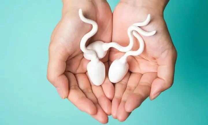 Tinh Trùng Khỏe Mạnh Có Màu Gì, Mùi Như Thế Nào?